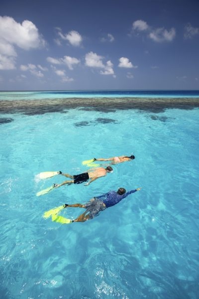 Maldives Snorkel Tour